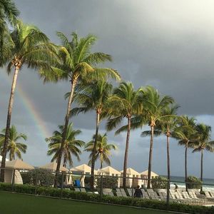 Meet your Posher, Aruna